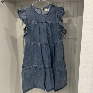 Denim Ruffle Sleeve Dress